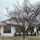 호국로1539번길 이미지