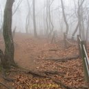 분수2리 이미지