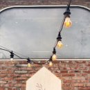 4월의밀밭 이미지