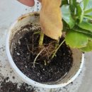 거목축산 이미지