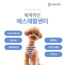 에스동물병원 이미지