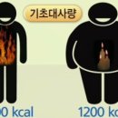 스밀로짐 이미지