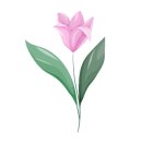 반석플라워 이미지