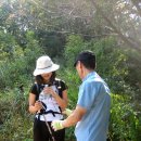 안골길 9 이미지