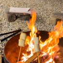 강릉초이 이미지