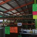 생각나네민박 이미지