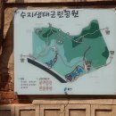 24/05/10 용인시 수지구 신봉동 산책 이미지