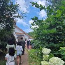 오대산식당(본점) | 강원 평창) 가족과 함께 맛집투어 평창여행 산채백반 &#34;부일식당 진부점&#34; &amp; 강이 보이는 &#34;엘림커피 본점&#34;