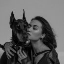 사람과 애견 이미지