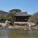 세원정 Daum카페