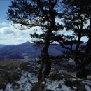 [12월11일 축령산-서리산]879m 경기남양/가평팔경중 축령백림 이미지