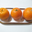 진홍농장 이미지