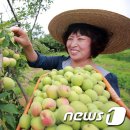 김연화농장 이미지