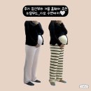 하이히얼 | [내돈내산] 추위 많이 타는 후기 임산부의 홈웨어 구매후기(히얼무드, 디오 수면바지, 하이웨스트)