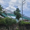 황쏘가리 | 경남 양산 호포역 메기 매운탕 황쏘가리