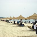 엘도라도 이미지