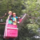 입석초교 이미지