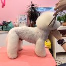소룡미용실
