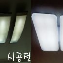 이레리폼