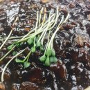 가산당구장 이미지