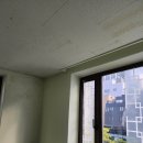 경성빌딩 이미지