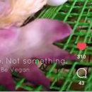 정업농장 이미지