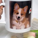 마이 컴리 데이 이미지