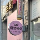 금밭미용실 - 수원시 영통구 | 금밭미용실