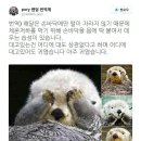 해달 - 공주시 공주대학로 94-3 | 해달