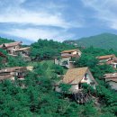 소나무 숲 리조트 이미지