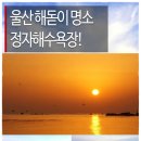 제377차 2016년 병신년(원숭이) 일출여행 / 해돋이 숨은 명소 울산 정자해수욕장~대왕암 경유[2015년 12월 31일 목요일 출발] 이미지