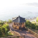 신일산동물병원 이미지