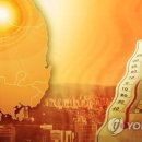 연합가축병원 이미지