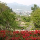 향로산 약수터 이미지