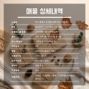 H0138 네이버블로그