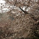 염광유치원 이미지