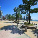 수영-301 이미지