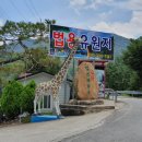 대전 근교 물놀이 운주계곡 법용유원지 시원해