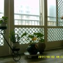 가야황토펜션 이미지