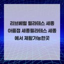 리브베럴 필라테스 세종 아름점 세종필라테스 세종에서 제활가능한곳