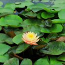 의왕초등학교 이미지