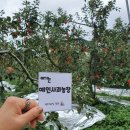 예인농장 이미지