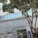대구보건대학교병원 | 팔공산맛집 엄마는돌짜장, 수요일 휴무일엔 건강검진 다녀왔어요