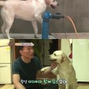 호야농장 이미지