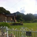 금평1길 이미지