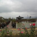 곡성-146 이미지