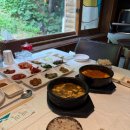 숲속통나무 이미지