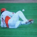 솔바우농장 이미지