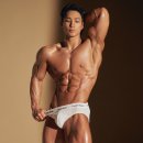 피티메이저 이미지