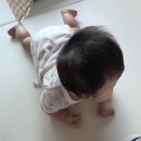 아이누리 | 포항 흥해 아이누리 장난감도서관 이용후기 / 수유실까지